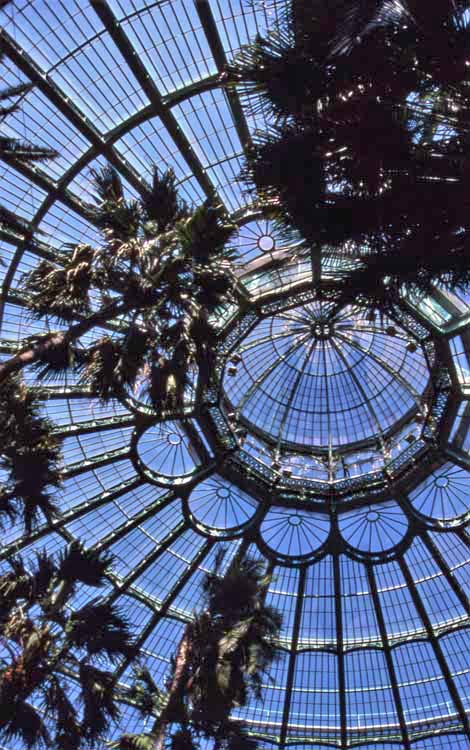 greenhouse